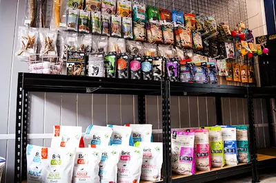 Sklep zoologiczny MerleDog - ręcznie szyte akcesoria dla psów